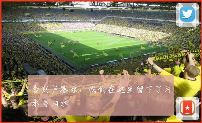 告别卢赛尔，我们在这里留下了汗水与泪水