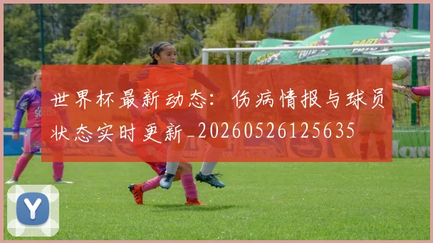 世界杯最新动态：伤病情报与球员状态实时更新_20260526125635