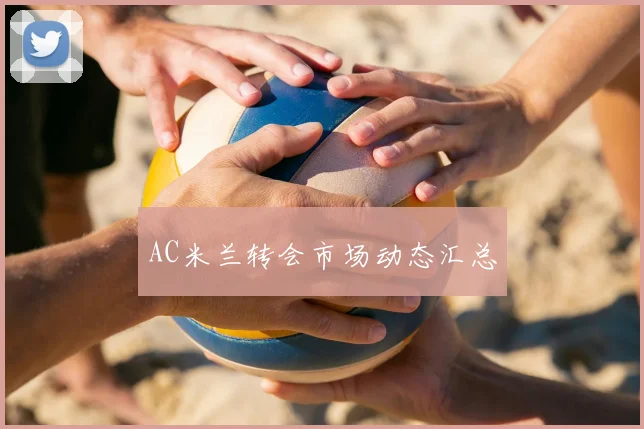AC米兰转会市场动态汇总