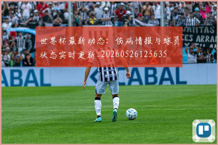 世界杯最新动态：伤病情报与球员状态实时更新_20260526125635